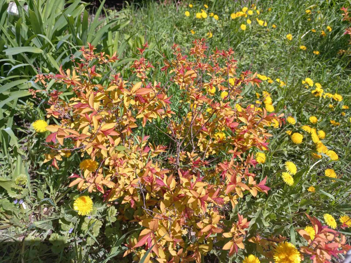 Фото автора.