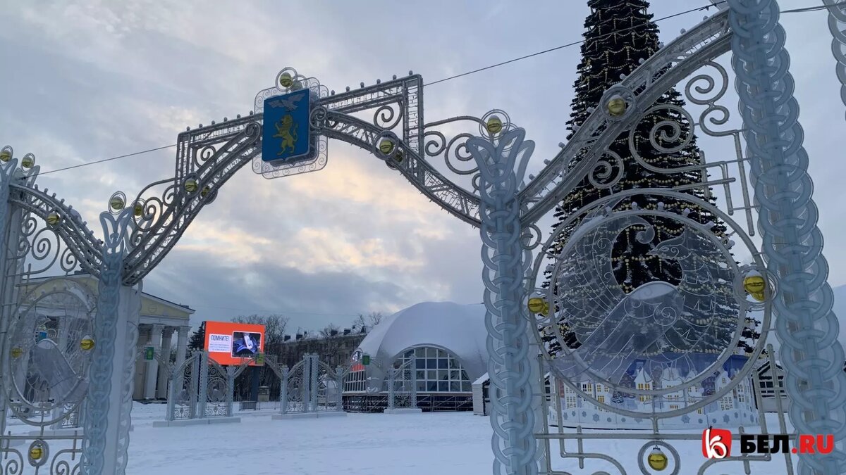 Улицы опустели: Белгород переживает трагедию и готовится к первой рабочей  неделе | Бел.Ру | Дзен