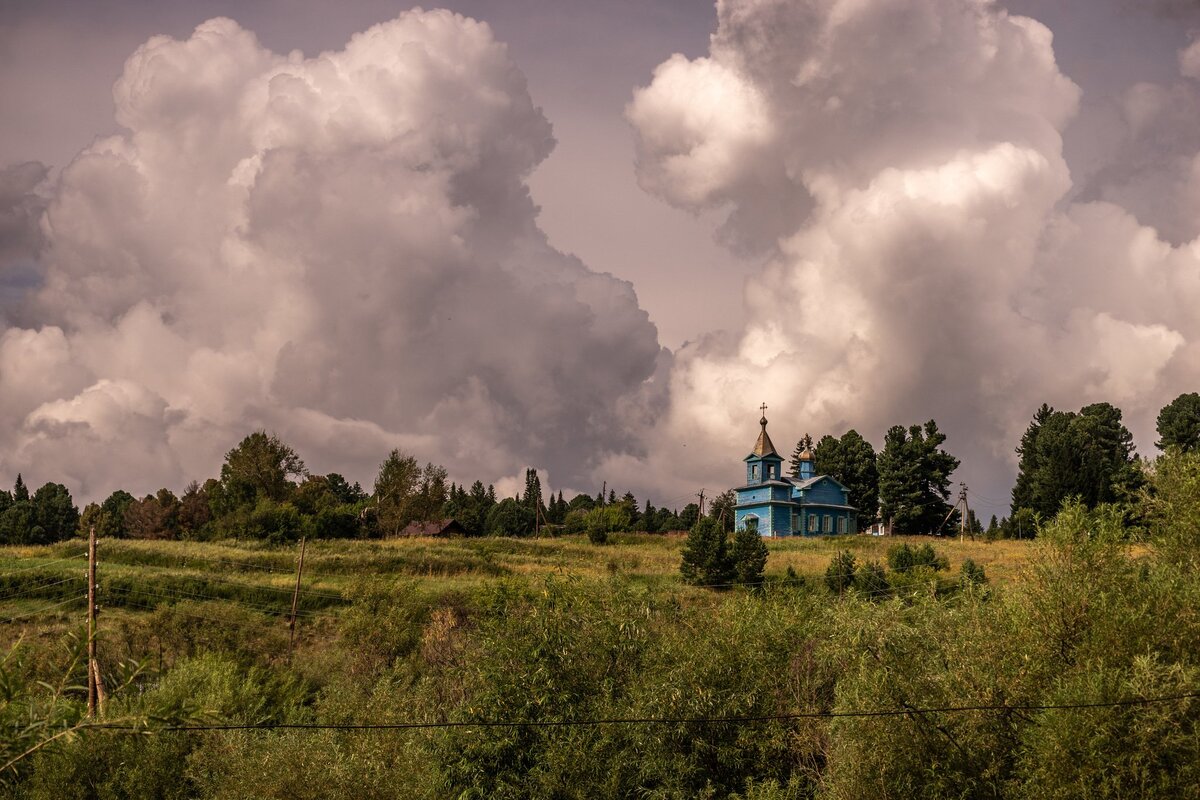 фото из интернета