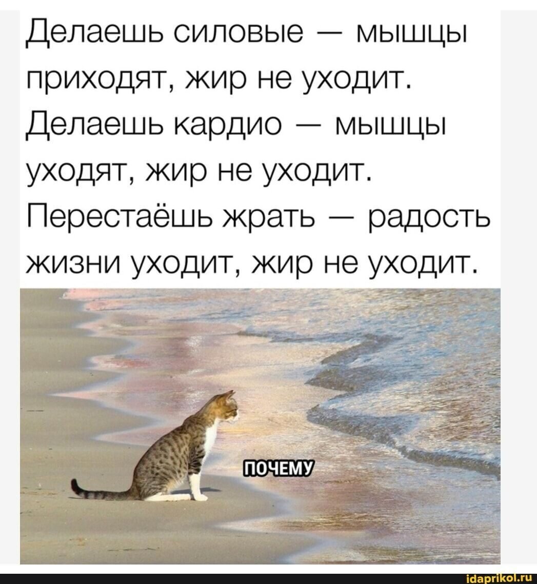 Съесть вопрос