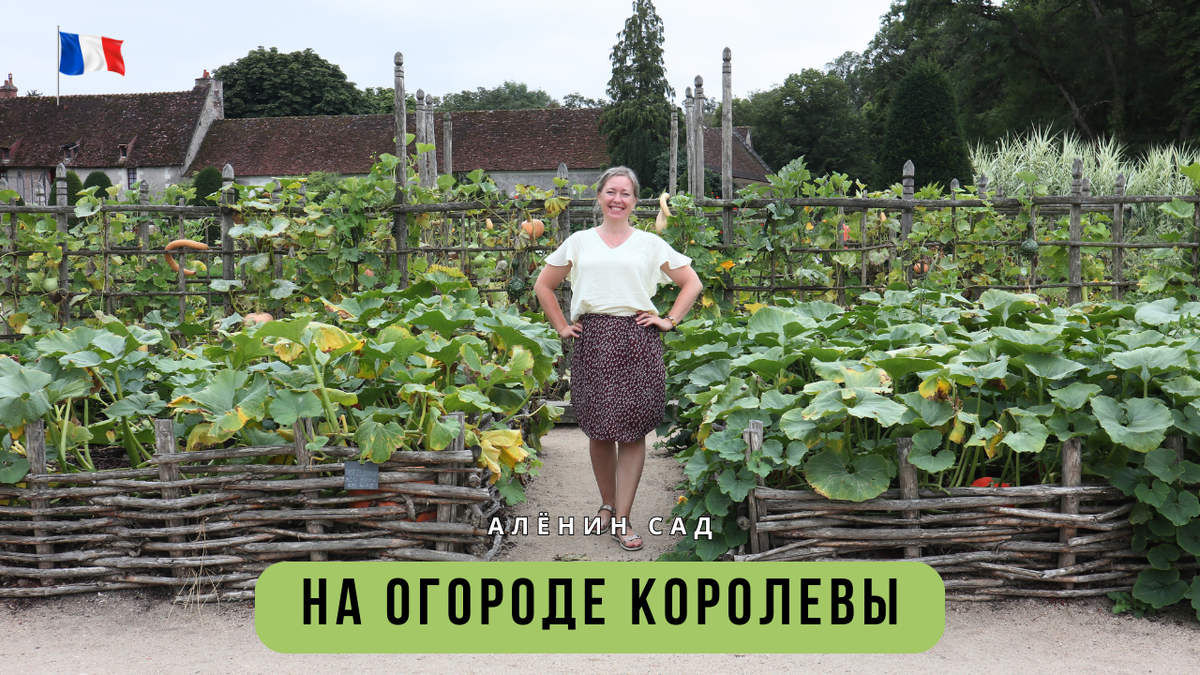 Фото из Интернет