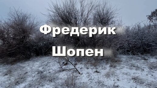 Фредерик Шопен. Фантазия-экспромт до-диез минор, Op. 66 . Музыка для души