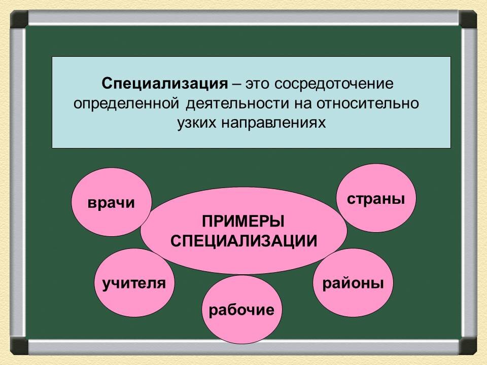 Основы экономической организации общества. Специализация это. Специализация это в обществознании. Специализация это в экономике. Понятие специализация в экономике.