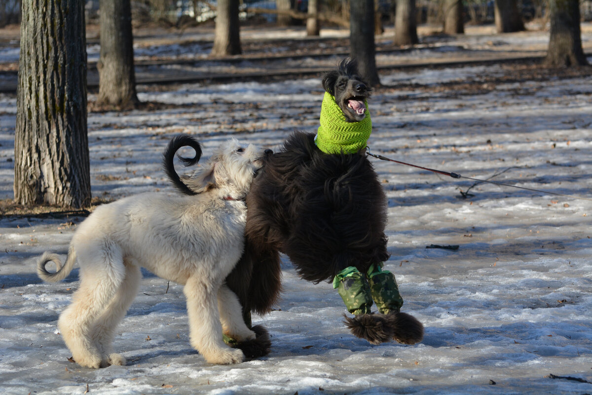 Легкая придурковатость - прививка от унылой тоски