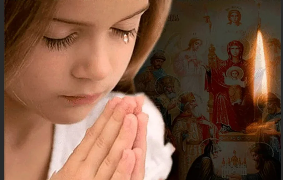 Интернет - свободный доступ