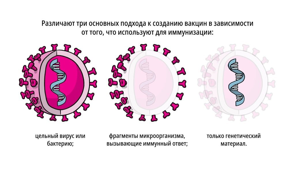 Различные типы вакцин
