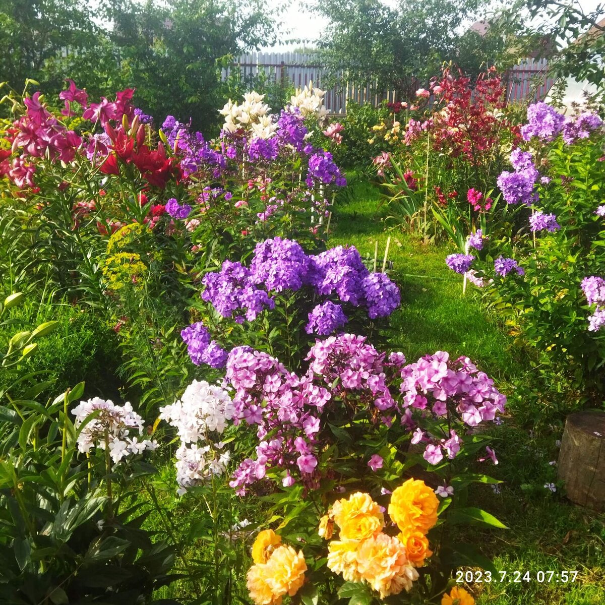 1. В галерее 2 фото, листайте