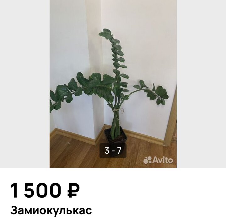 Прошло 8 дней