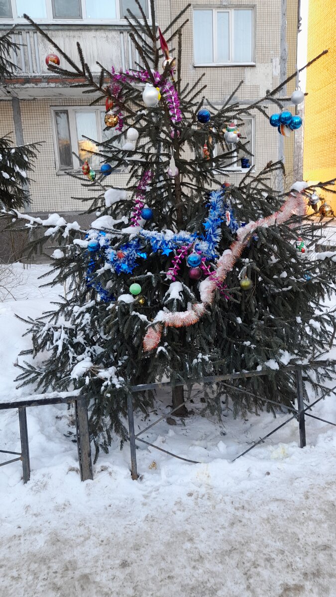 Ёлочка в нашем дворе к Старому Новому году стала ещё наряднее