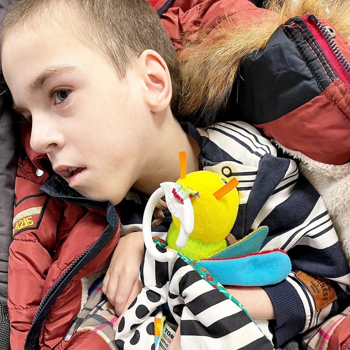 Родик с любимой пчелкой