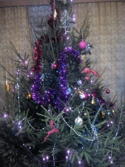 С РОЖДЕСТВОМ! МИРА, БЛАГОДЕНСТВИЯ!