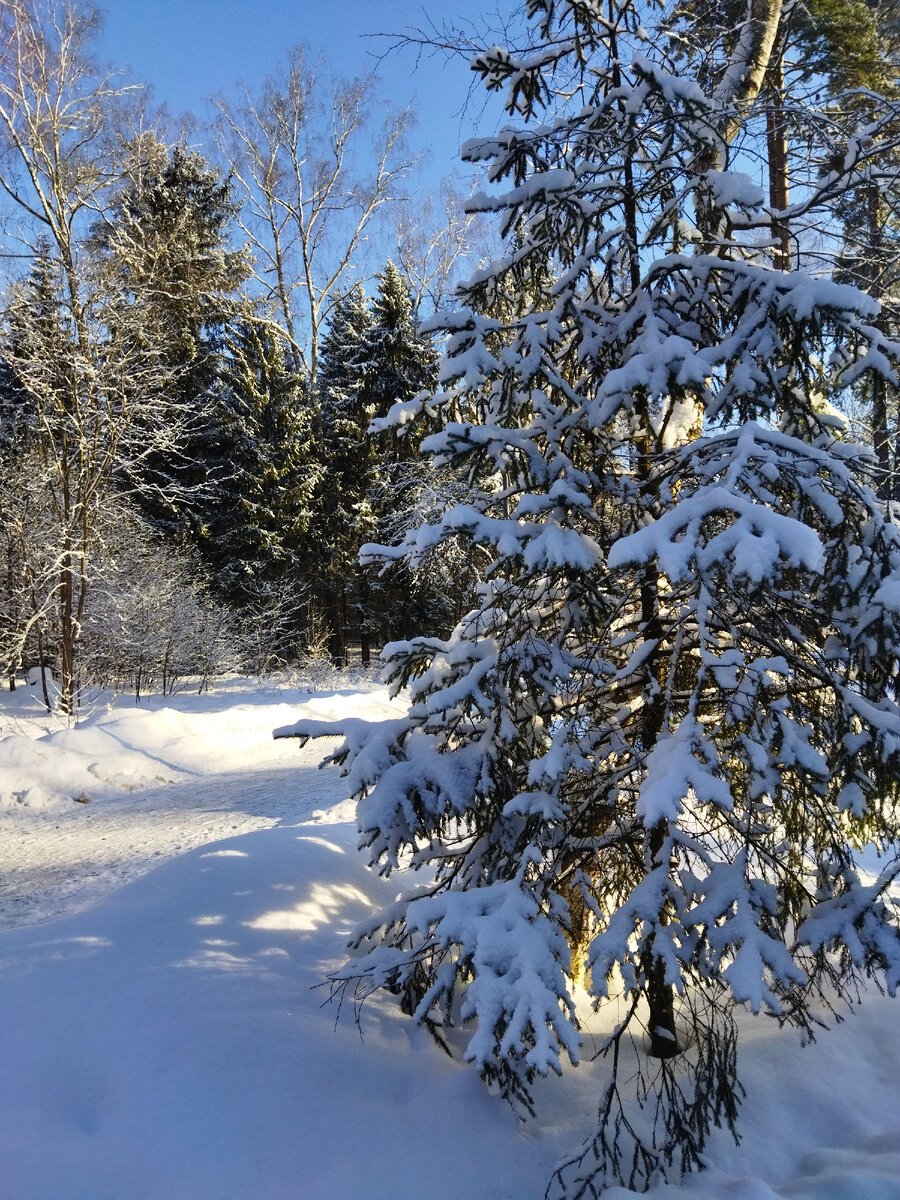 После снегопада 