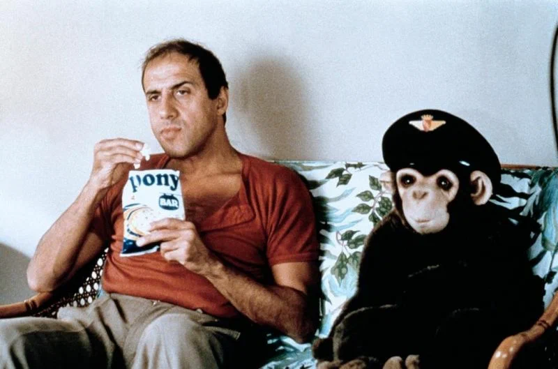 Безумные челентано. Безумные челентано. Безумные челентано. Безумные челентано. Челентано адриано 1981.