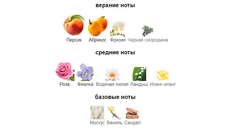 fragrantica.ru