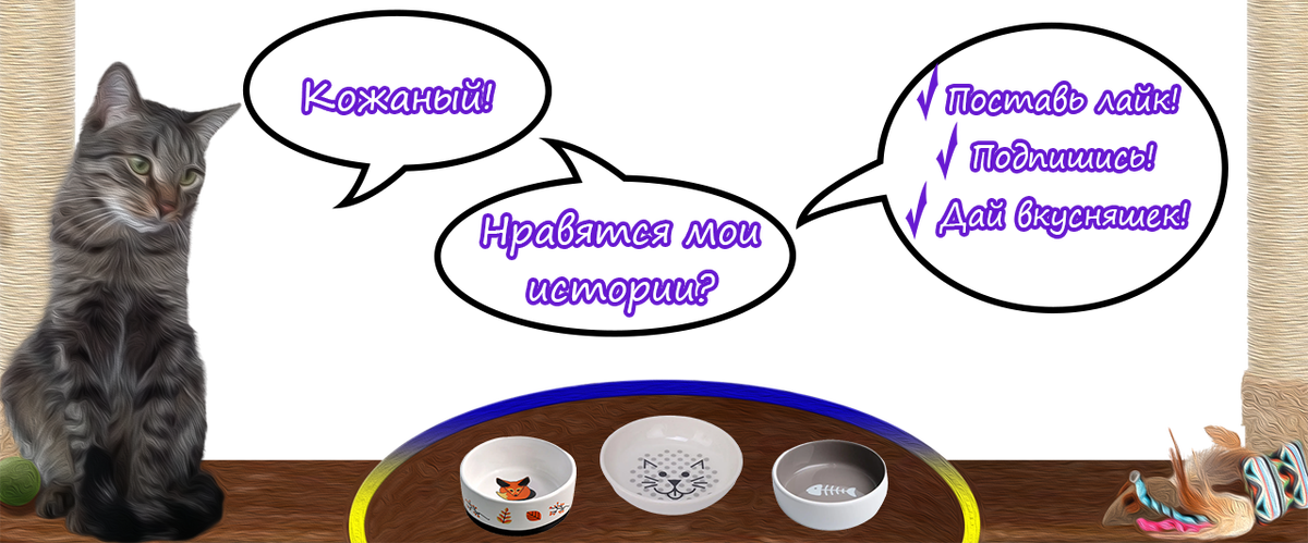 Кожаный! Помнишь, как ты радовался и волновался, когда на твоих руках оказался маленький котенок, которого ты забрал к себе домой? Еще бы: как ухаживать за котенком - это непростой вопрос!-2