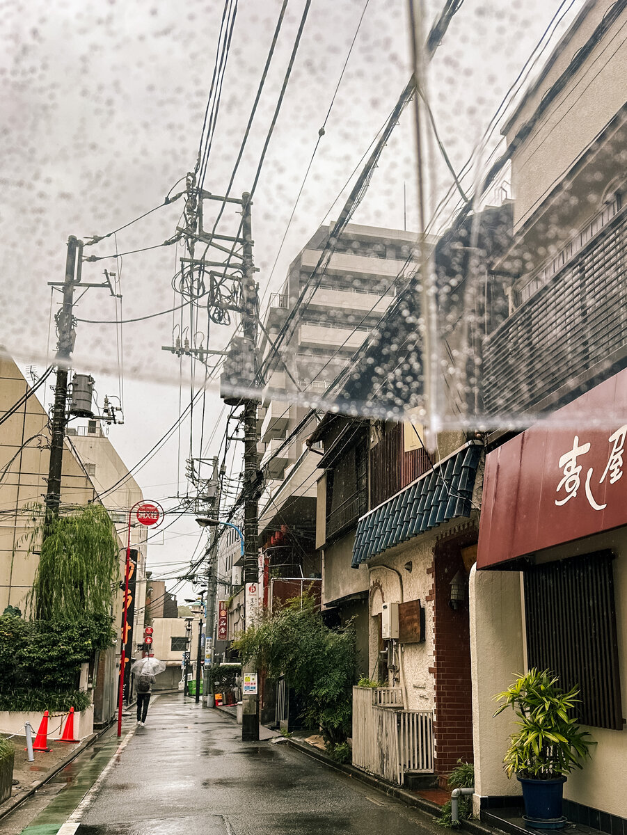 Фото: Тelegram-канал «Твой Японский Сэмпай»
