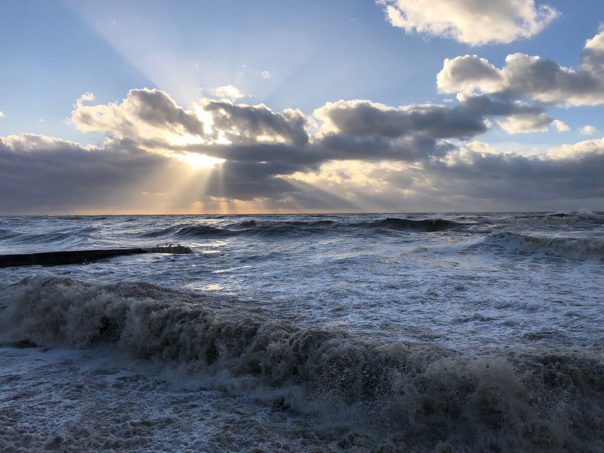 Фотография Е. Шатохиной