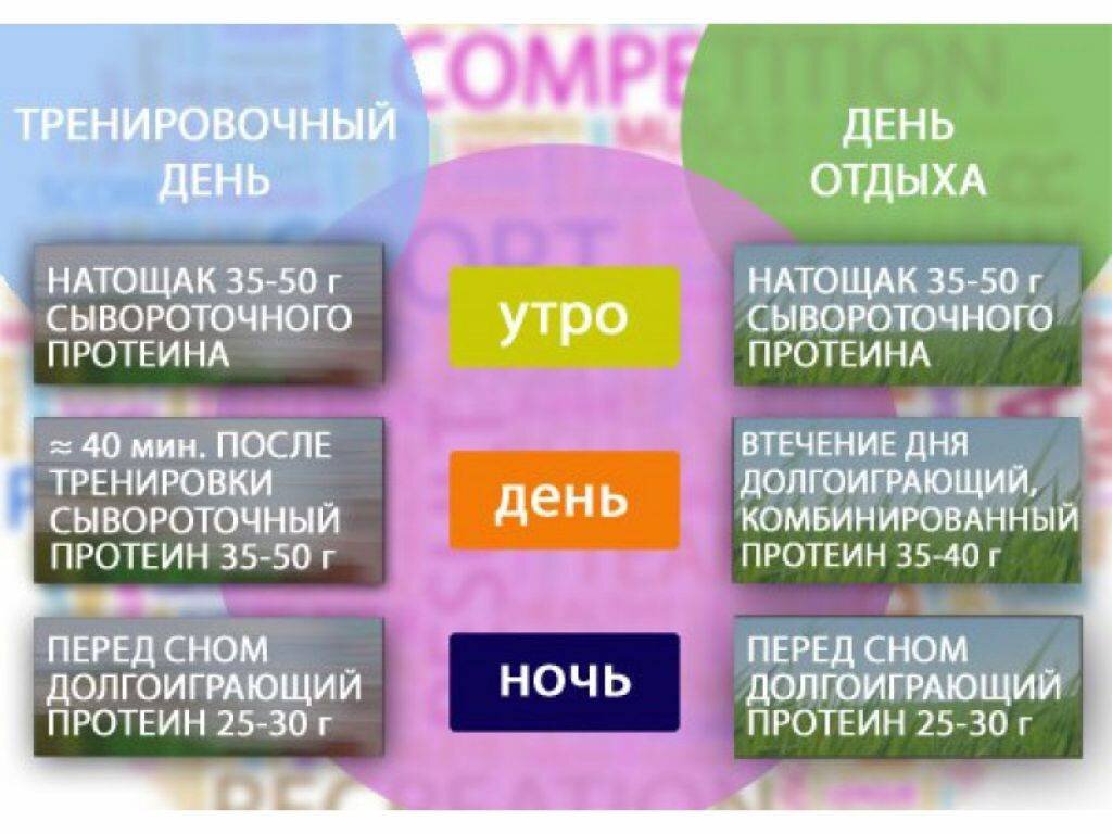 Сколько нужно принимать протеин. Когда лучше принимать протеин. Сколько пить протеина в день. Сколько раз в день пить протеин.