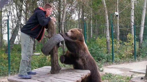 Download Video: Почеши спинку медведю Мансуру.