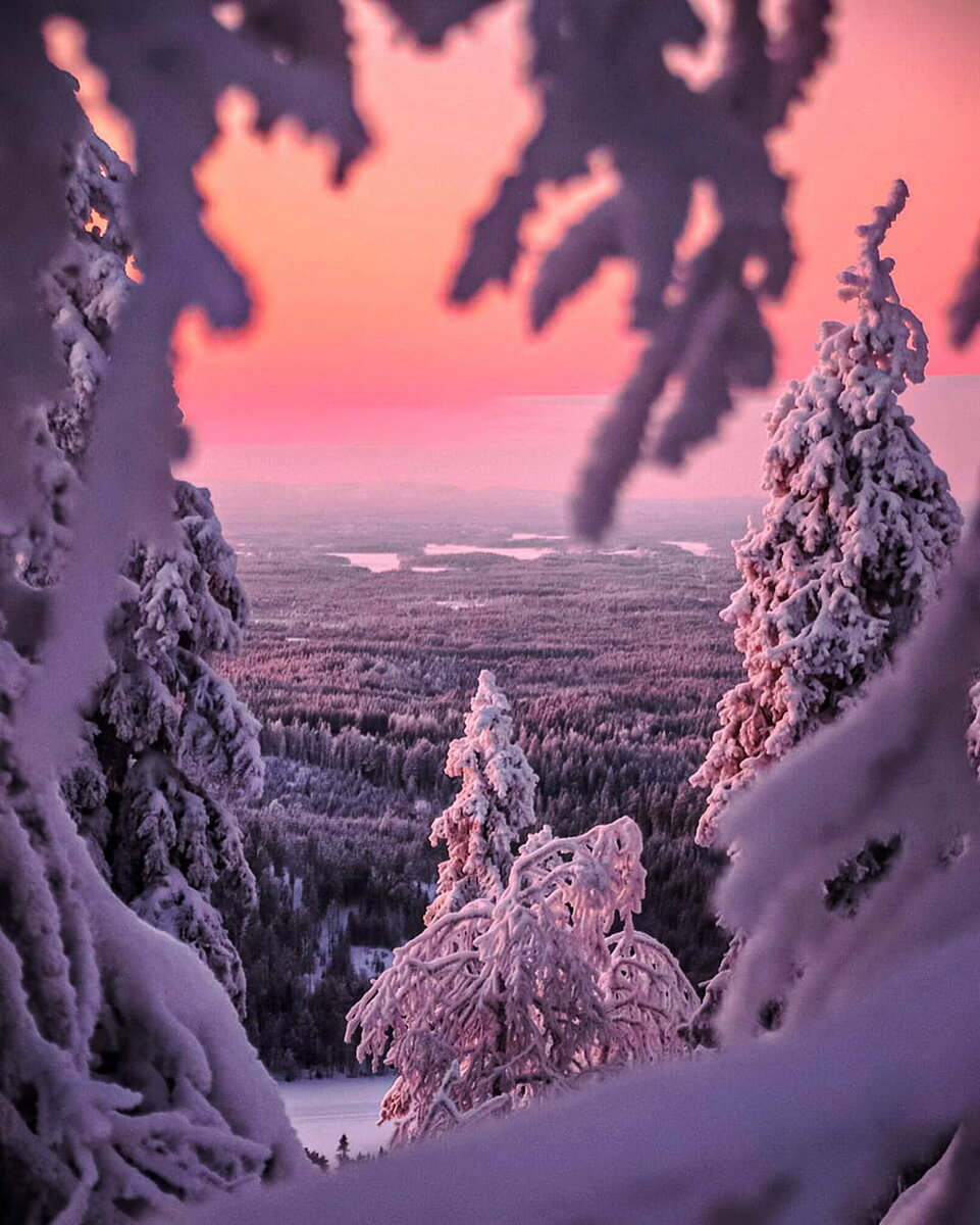 Яндекс. Открытый источник 