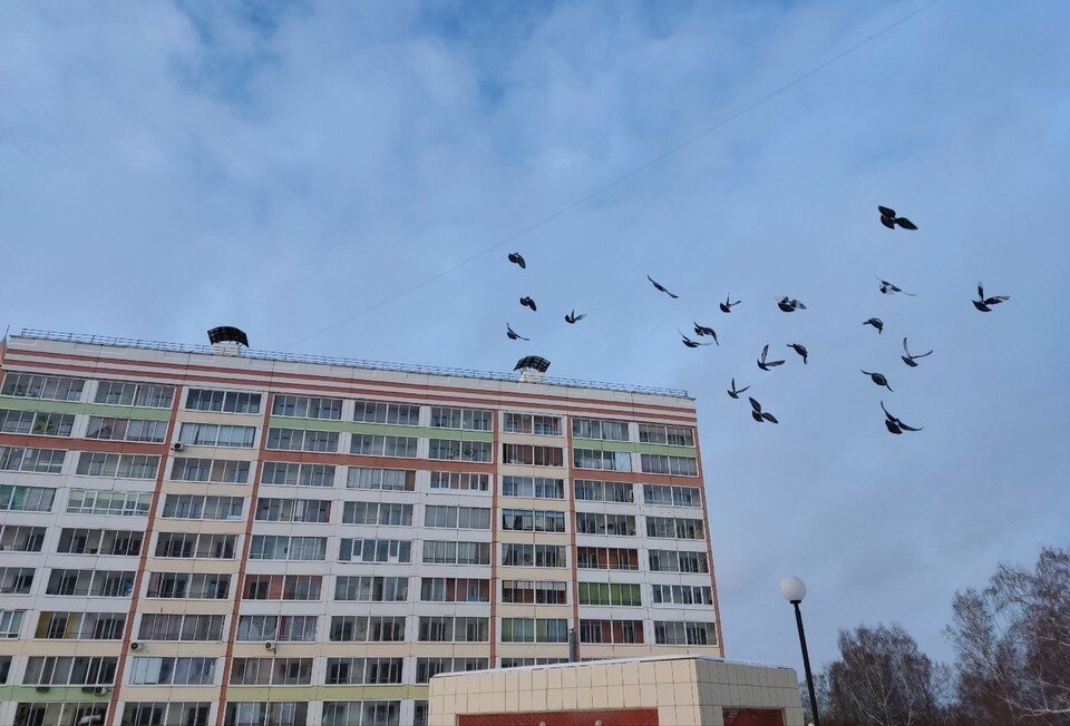 Томск. Воскресная гора томск. Томск памятник татьянин. Сельскохозяйственный колледж томск. Томск особняк купца голованова.
