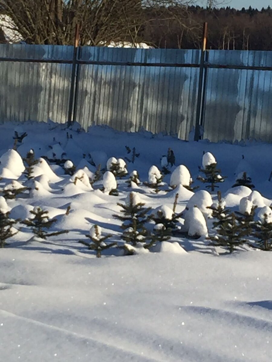 Наши подростки. Просто для картинки.