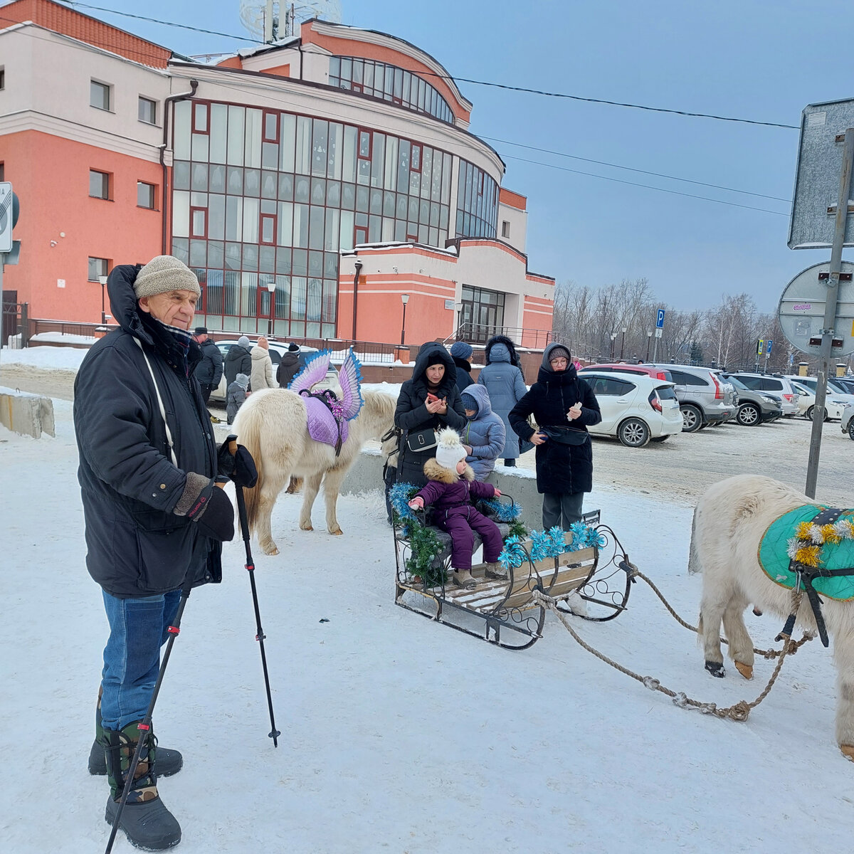 Поехали на дачу тестировать сканди-палки и забрели по дороге на елку | Дом,  сад, телескоп, Алтай | Дзен