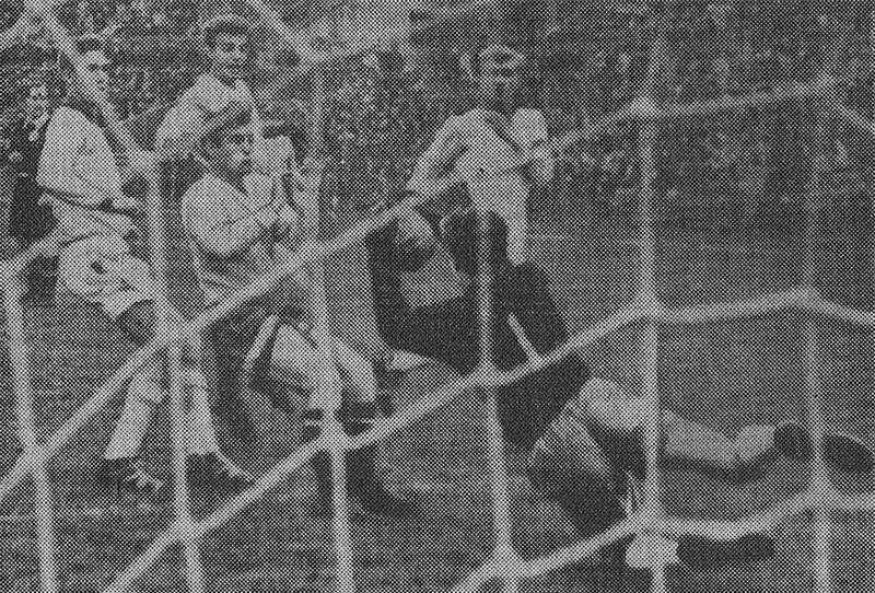 Динамо москва 2021. Сайт динамо москва футбольный. Динамо (москва) фк команда 2022. Фк динамо москва 2013 2014. Сайт динамо москва футбольный.