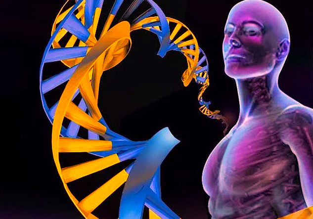 Днк матрица для белков. Днк матрица для белков. Репликация самоудвоение днк. Матричный синтез днк. Является матрицей для синтеза белка.