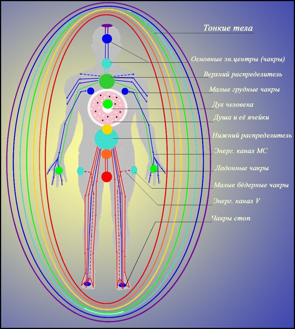 Меридианы тела, энергоцентры 