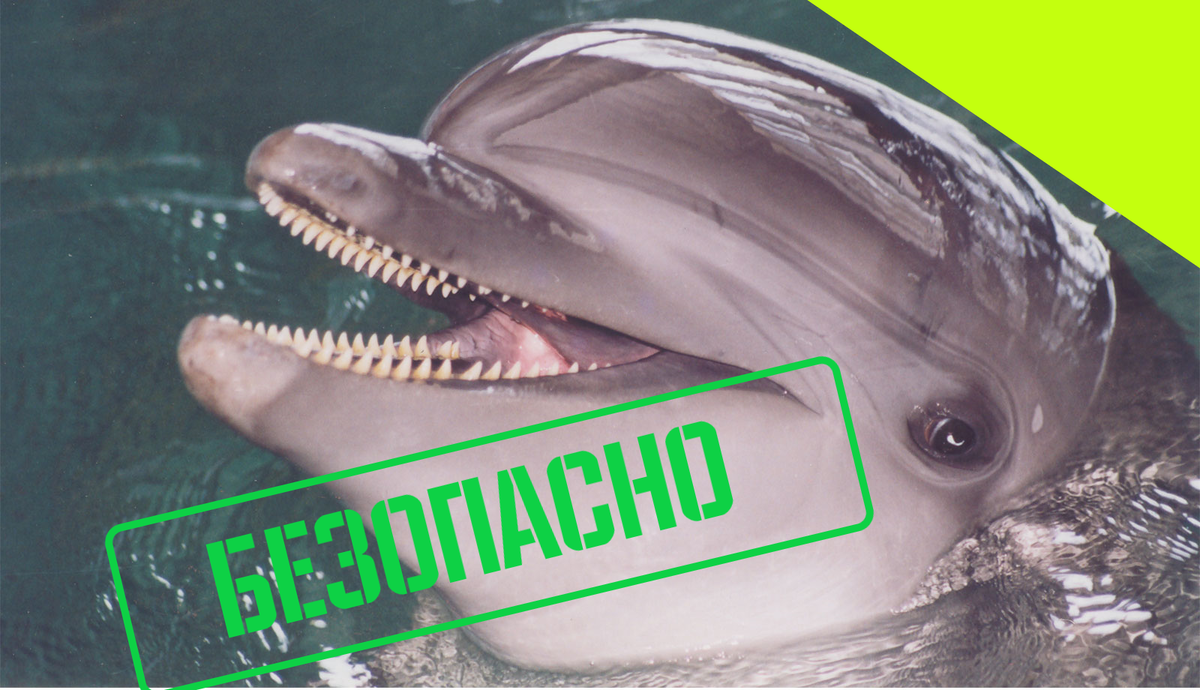 Вы на эти зубки не смотрите, загляните ему в глаза...