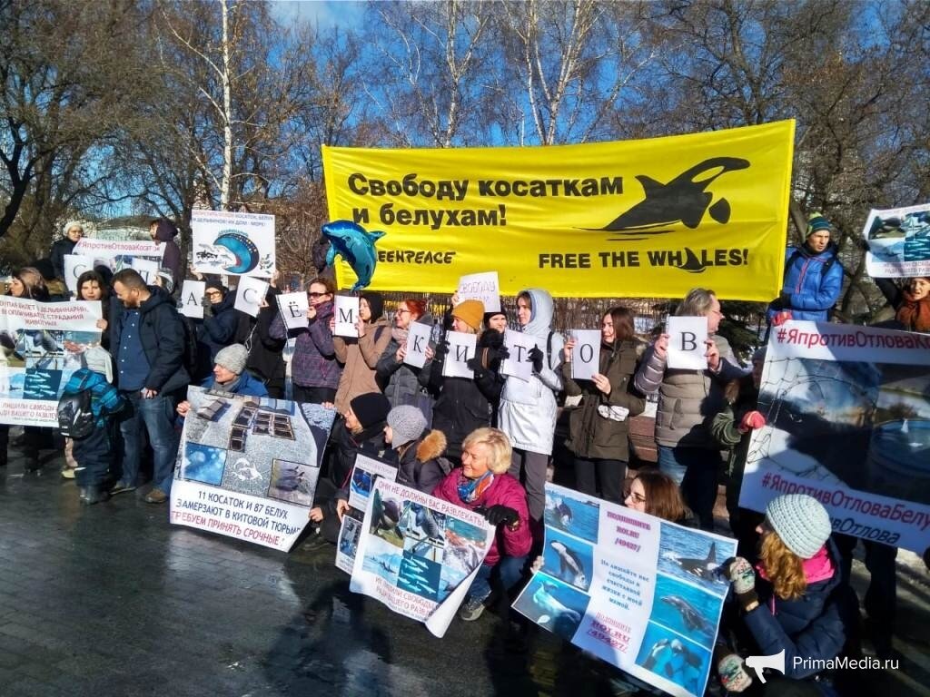 Они называют себя "защитниками природы"... Но именно они и являются её уничтожителями