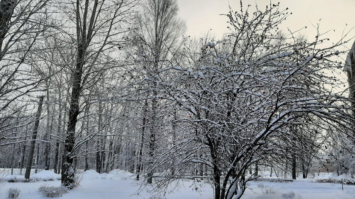 Морозы под -30 и немного за