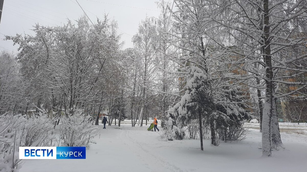    В Курской области сохранится аномально холодная погода до - 21 градуса