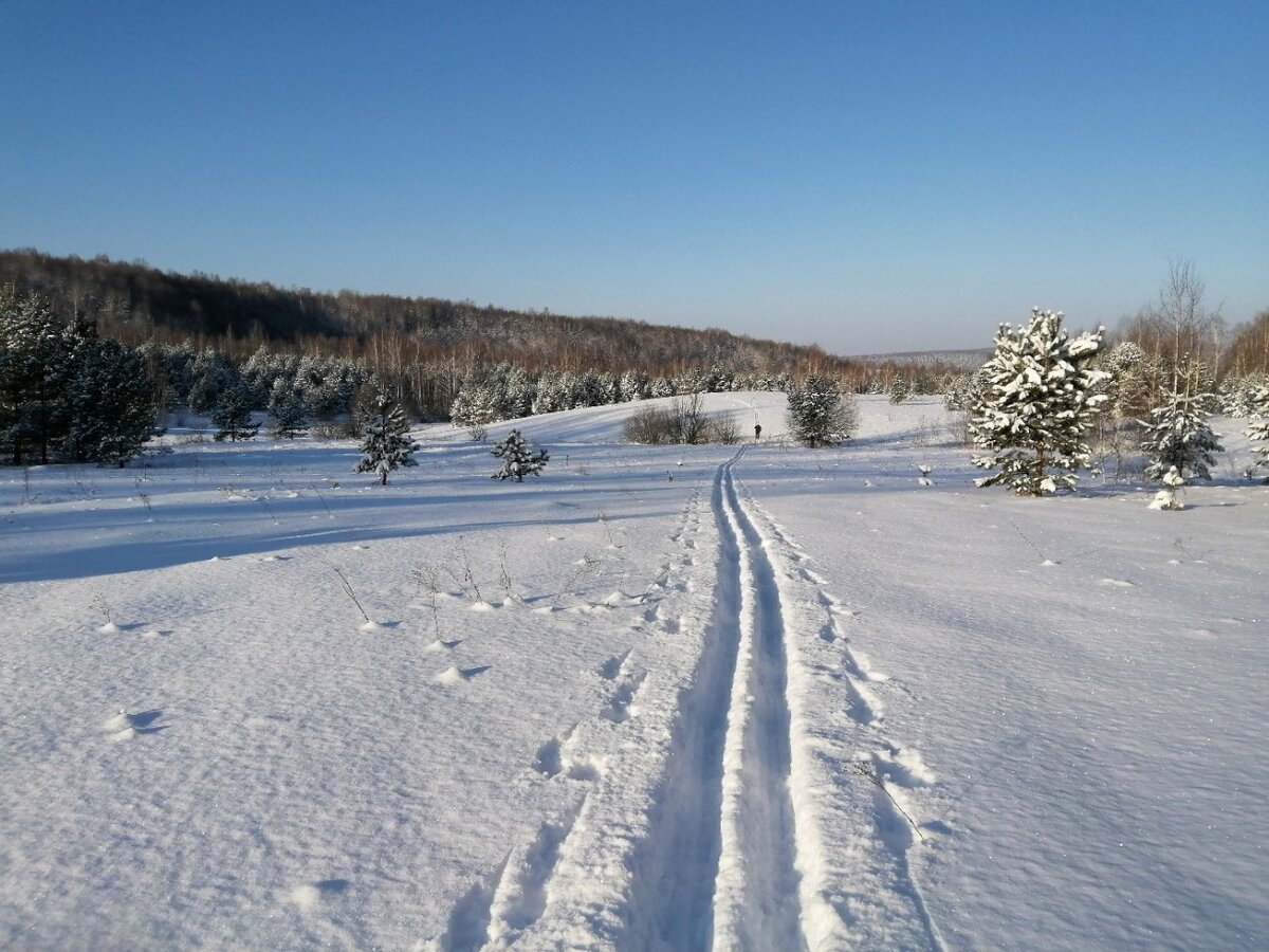 Фото зимы зимние пейзажи