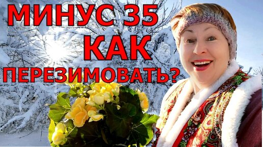 Сильные морозы минус 30-35. Переживаю за заимовку в прикопе. Как спасать растения_