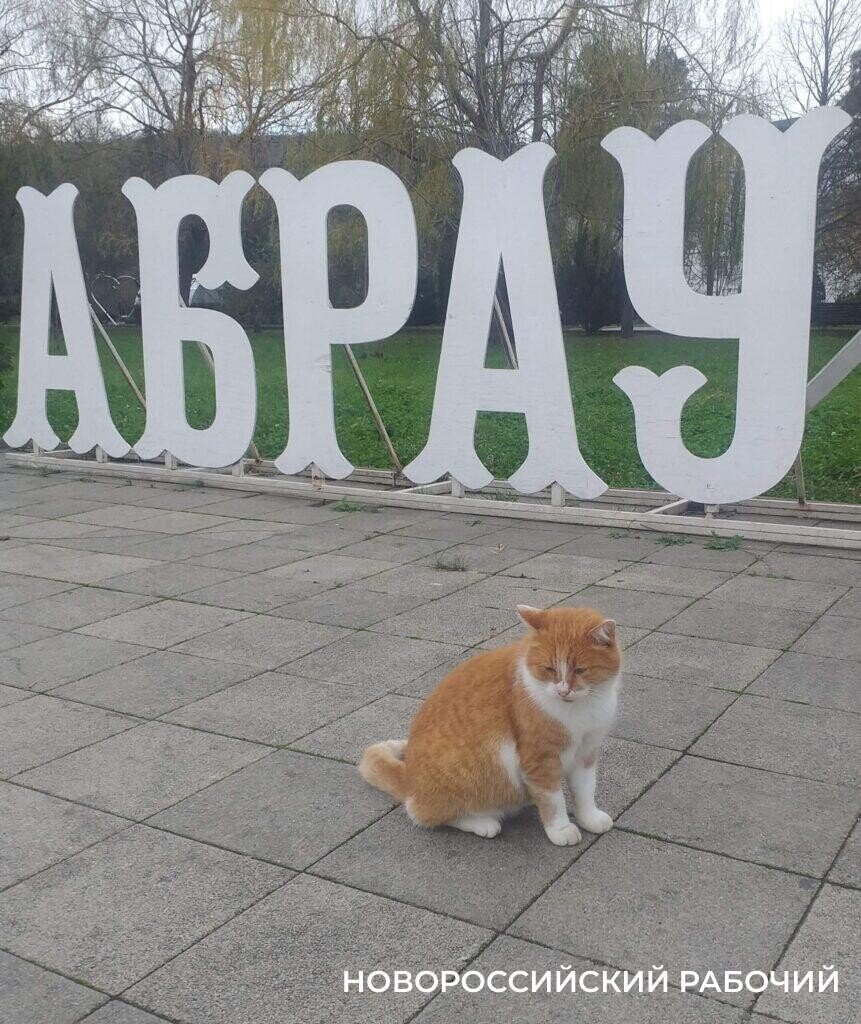 Снять Абрау-Дюрсо так, чтобы восхитился весь мир! Братьям Яровым это под  силу | Новороссийский Рабочий | Дзен