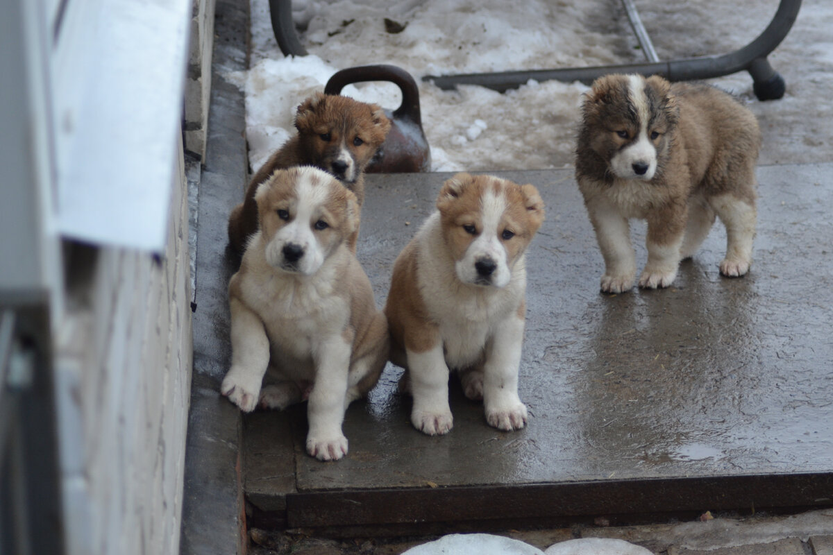фотки просто так все, не к теме статьи