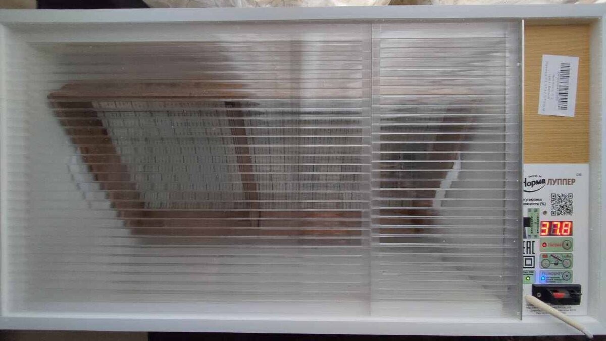 внешний вид