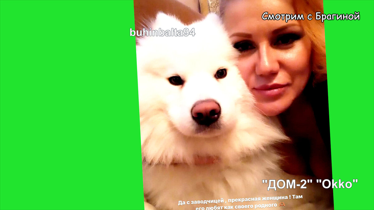 Фото: соцсети