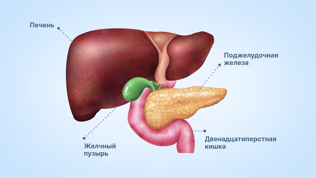 как понять, что желчный не в порядке