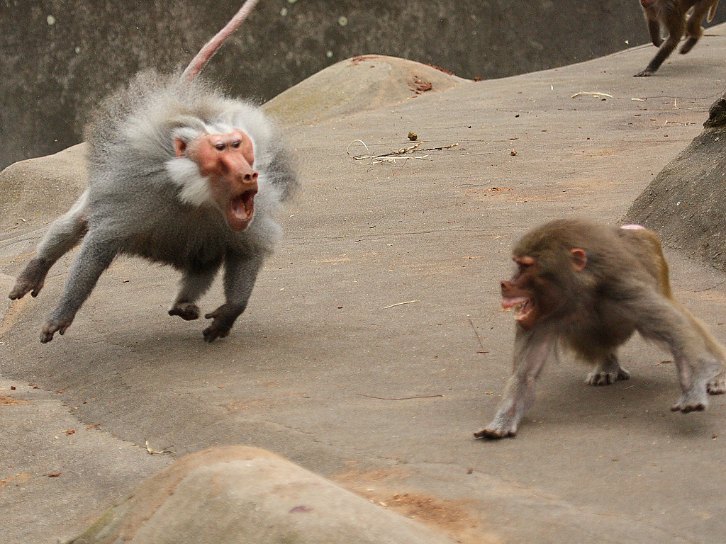 Что значит работу работаю. Значит можно работать. Руководить это не мешать хорошим людям работать. Значит можно работать. Третий день не хочется работать значит сегодня среда.