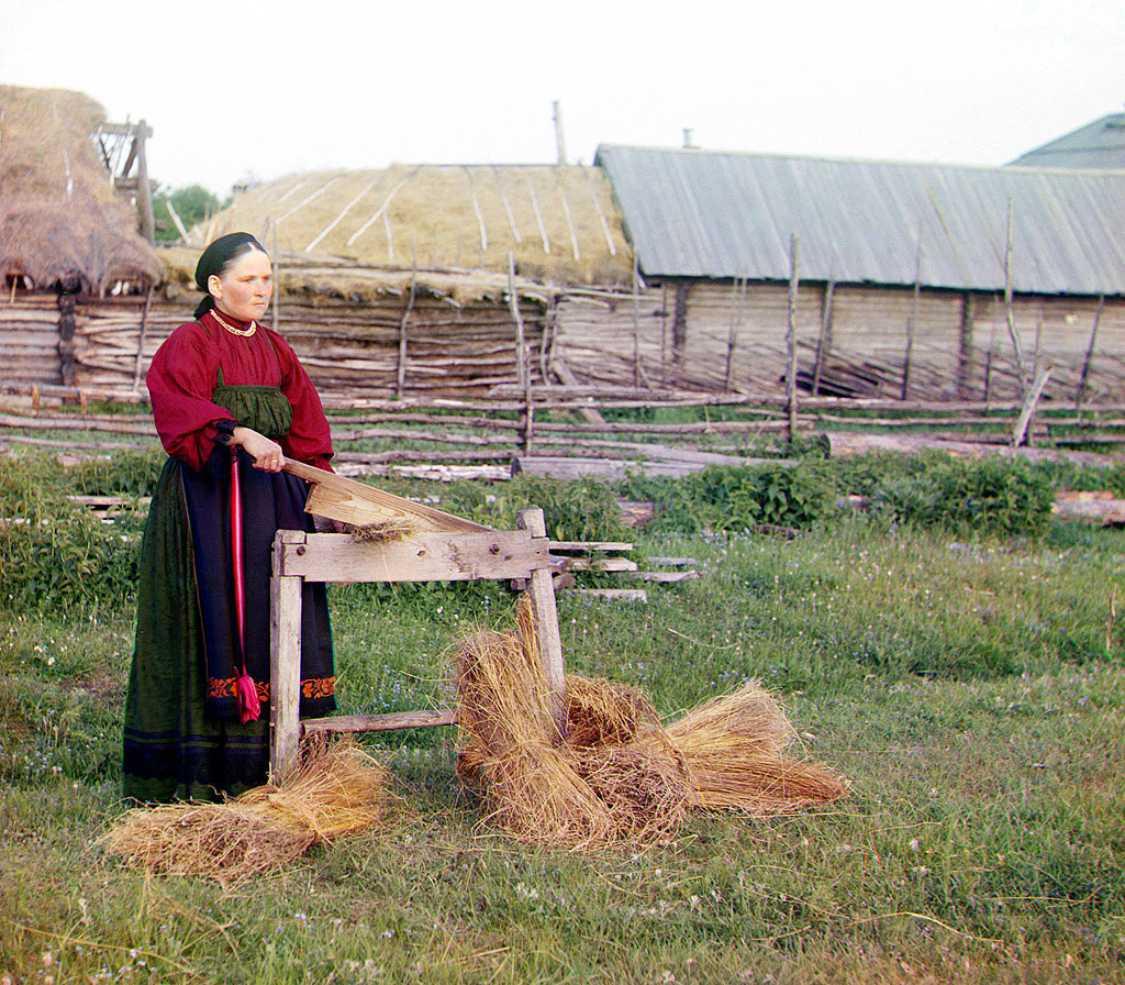 Крестьянка мнет лён. 1910 год.