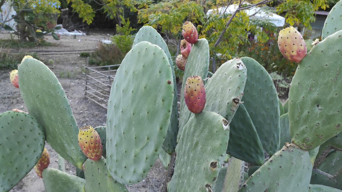 Хотя цены на отдых стали очень колючими. Фото: Кирилл Полиенко/Polienko: путешествуем вдвоём