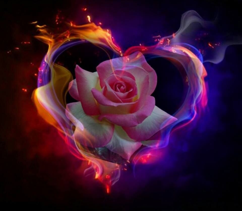 Цветы любви в вади сафия. Фантастические цветы. Огненный цветок. Розы в сердце. Цветы фэнтези.