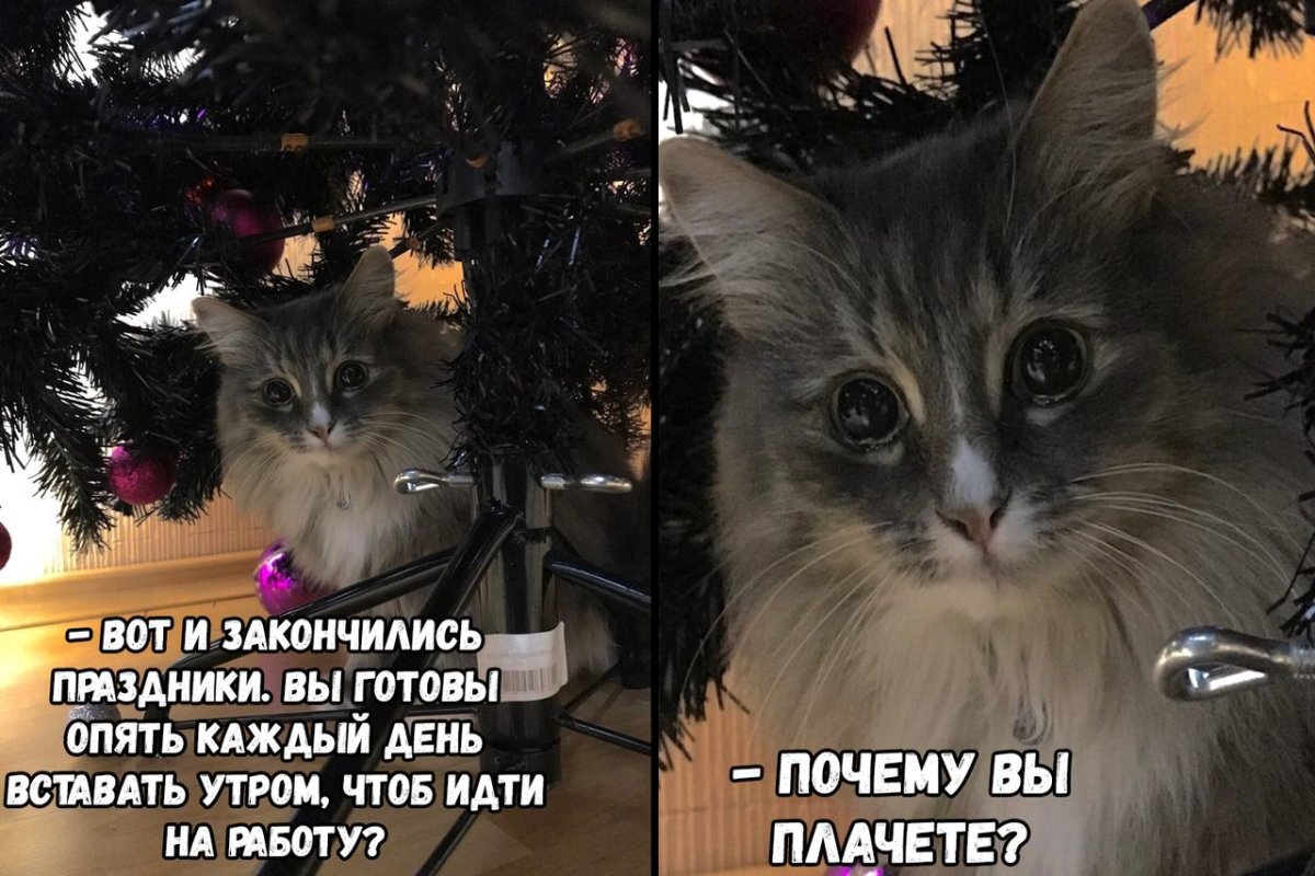 Картинки после каникул