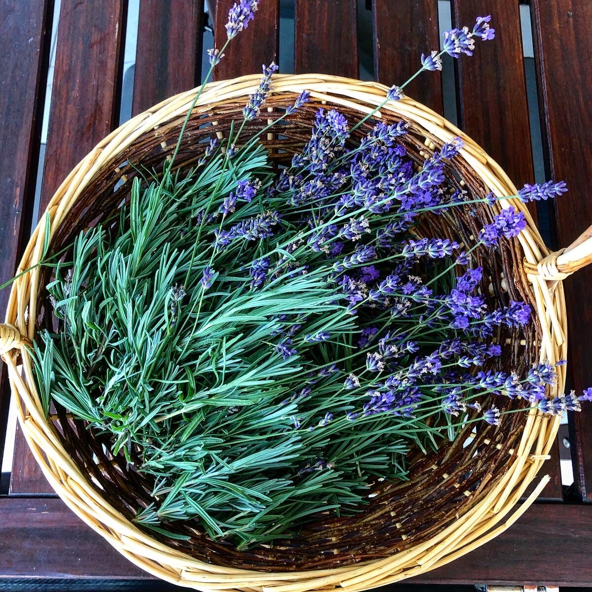 Сойду трава. На дальней станции сойду трава по пояс слушать. Трава по пояс. На дальней станции сойду трава по пояс. Дом в поле травы по пояс.