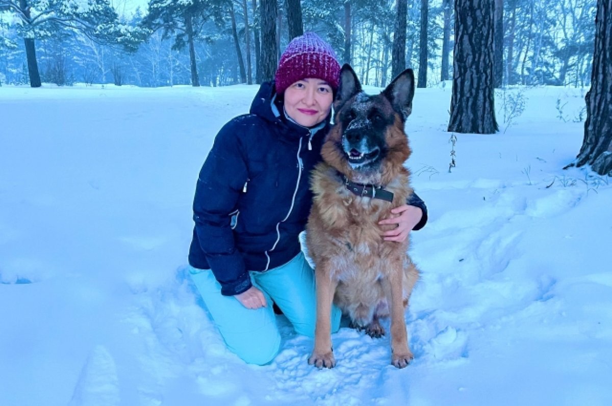    Собака-ищейка.