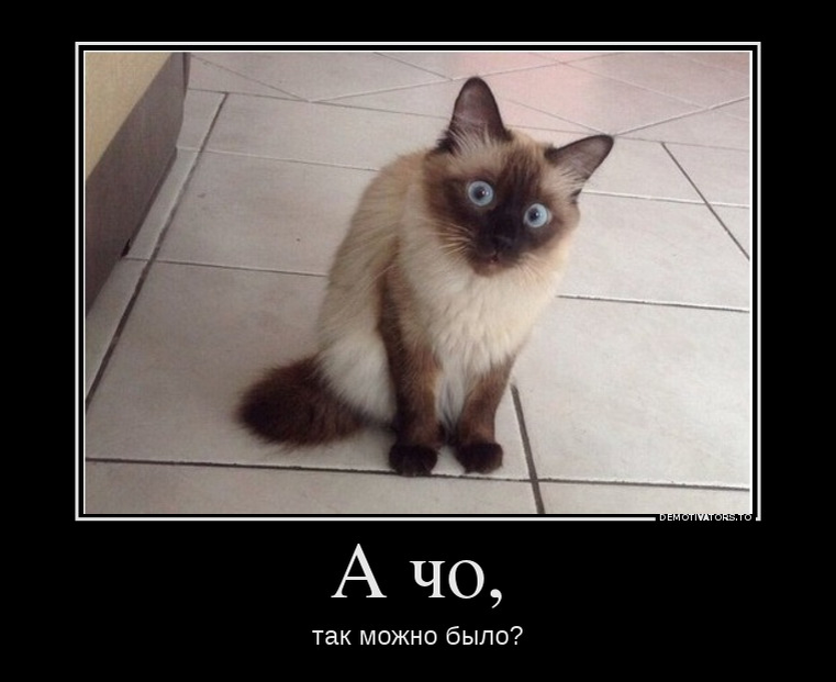 А со так можно было. А что так можно было. а что так можно было картинка. а че так можно было. фото а че так можно было.