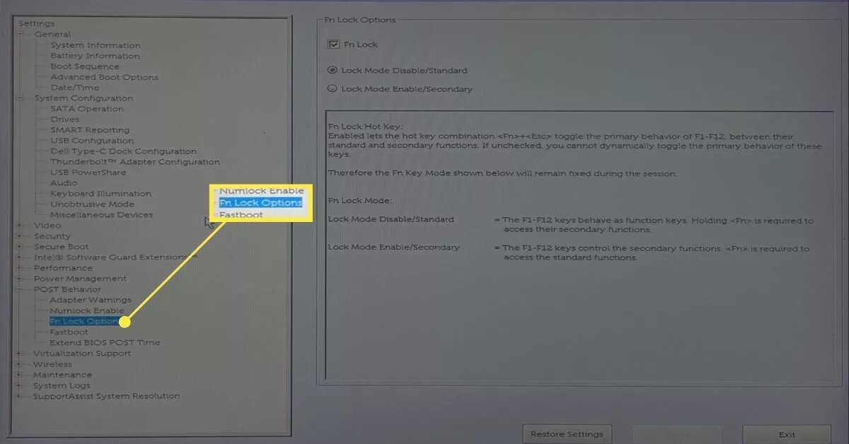 Нажмите + рядом с пунктом POST Behavior , затем выберите Fn Lock Options .
